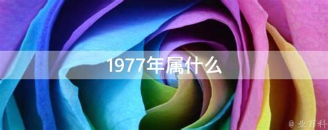 1977属什么